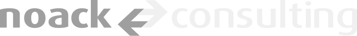 Noack Consulting GmbH Logo hell